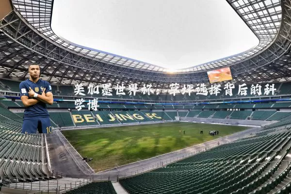 美加墨世界杯：草坪选择背后的科学博弈